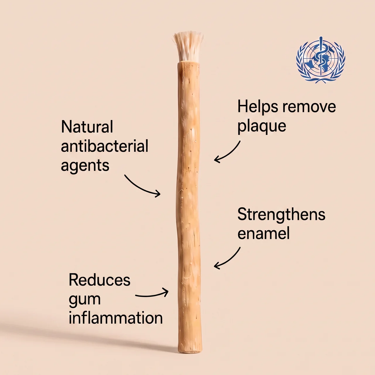 Miswak benefits: natural antibacterial agents, helps remove plaque, strengthens enamel, reduces gum inflammation