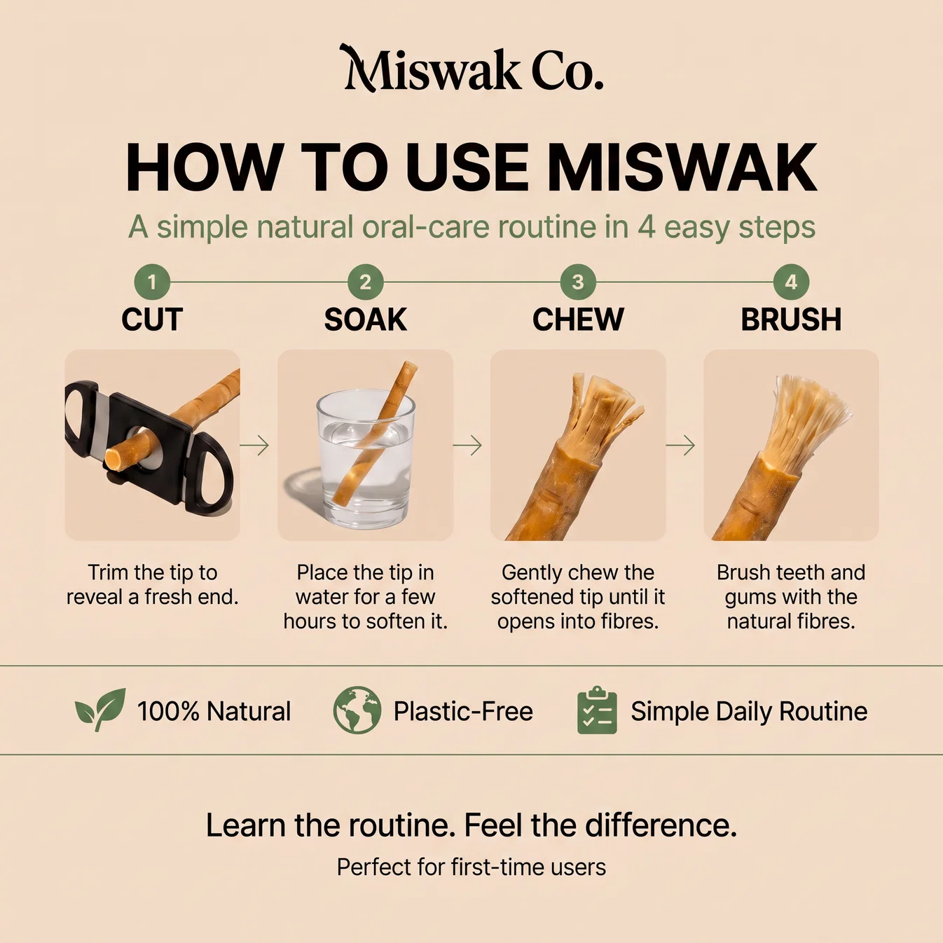 How to use a miswak stick in four steps
