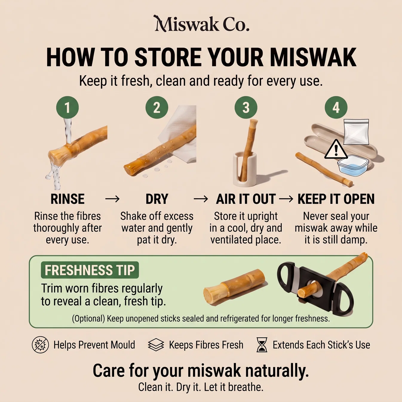 How to store your miswak stick